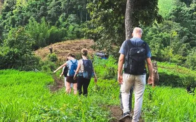 What to Pack for a Chiang Mai Jungle Trek: A Local’s Checklist