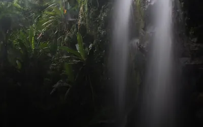 4 Days 3 Nights Trekking